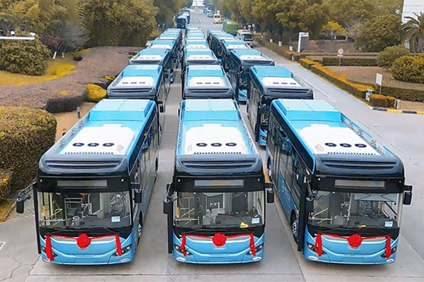 250 Higer pure electric buses